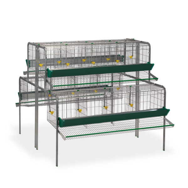 Bateria Gallinas Principio - imagen 2