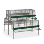 Bateria Gallinas Ampliacion - imagen 2