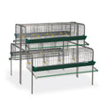 Bateria Gallinas Ampliacion - imagen 1