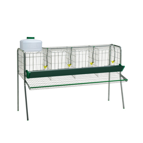 Bateria Gallinas - imagen 2