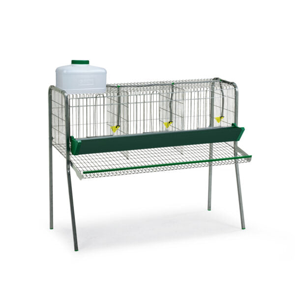 Bateria Gallinas - imagen 4
