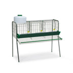 Bateria Gallinas - imagen 4
