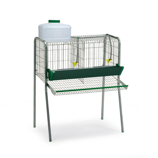 Bateria Gallinas - imagen 6