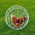 Esfera Para Gallinas - imagen 3