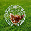 Esfera Para Gallinas - imagen 1