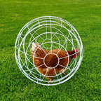 Esfera Para Gallinas - imagen 1