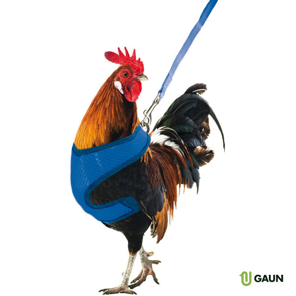 Arnes Gallinas - imagen 1