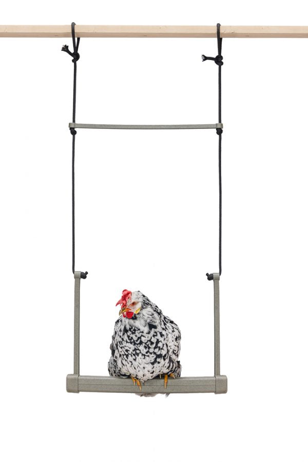 Balancín Para Gallinas 100 % Reciclado - imagen 12