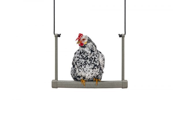 Balancín Para Gallinas 100 % Reciclado - imagen 16