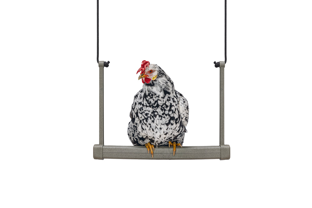 Balancín Para Gallinas 100 % Reciclado - imagen 5