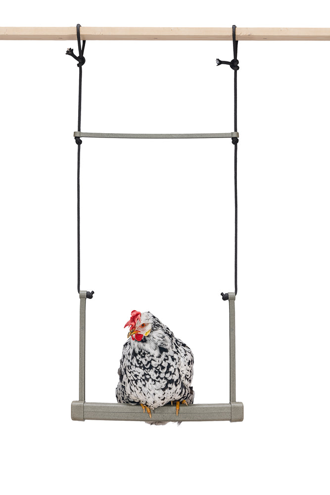 Balancín Para Gallinas 100 % Reciclado - imagen 1