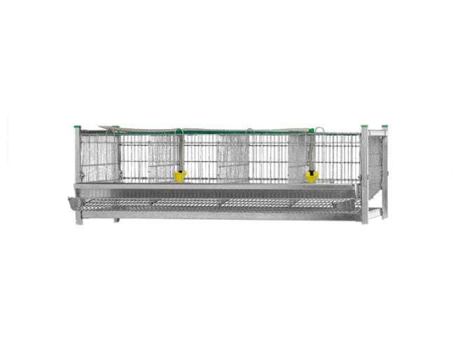 Bateria Codornices 1 Cesta Ampliacion - imagen 1