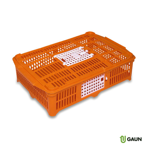 Cesta Transporte Pollitos / Codornices - imagen 1