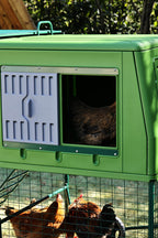 The Egg Chalet - imagen 4
