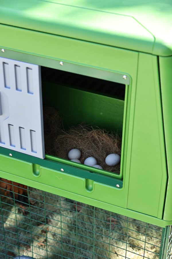 The Egg Chalet - imagen 7
