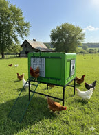 The Egg Loft - imagen 6