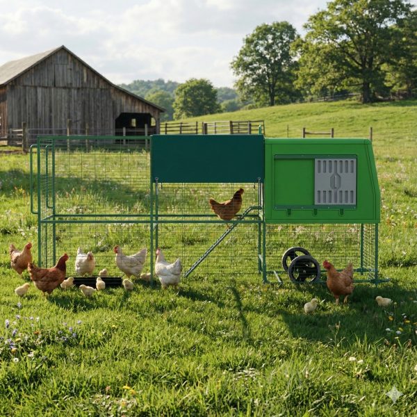 The Egg Palace - imagen 6