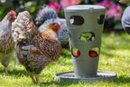 Comedero Torre Gallinas 100 % Reciclado - imagen 22