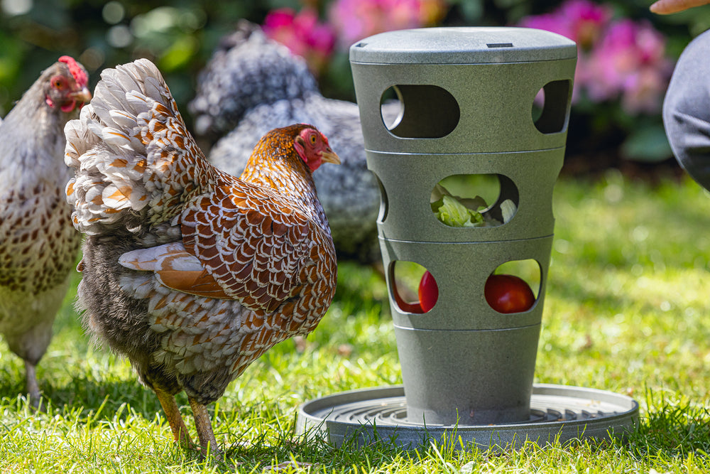 Comedero Torre Gallinas 100 % Reciclado - imagen 7
