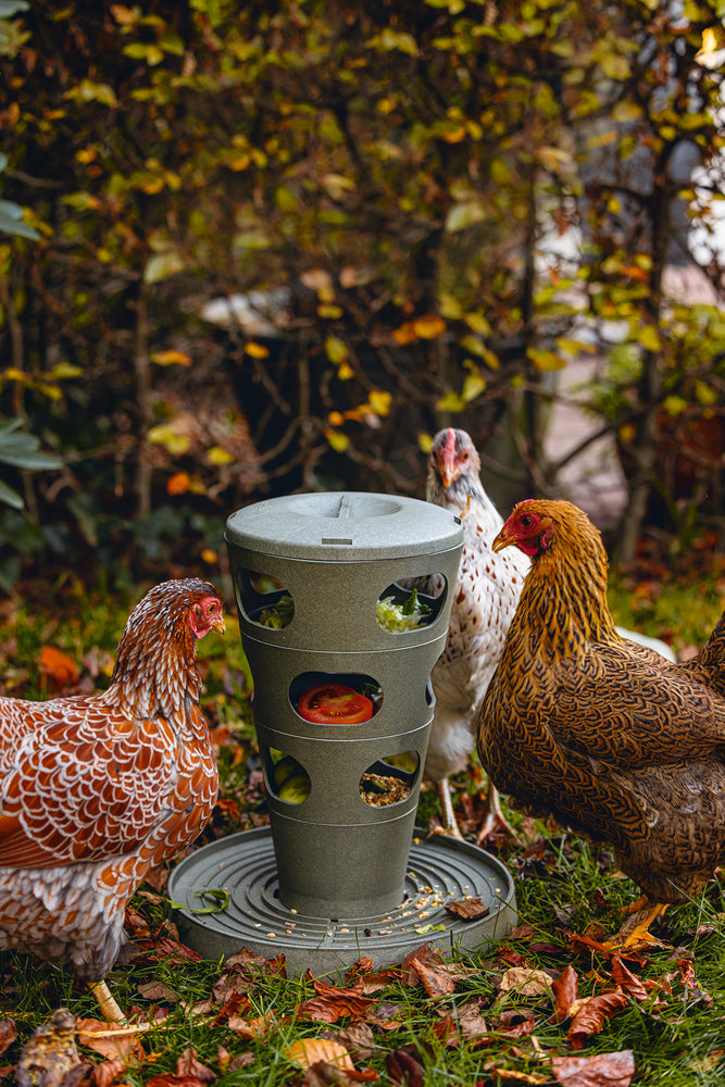 Comedero Torre Gallinas 100 % Reciclado - imagen 10