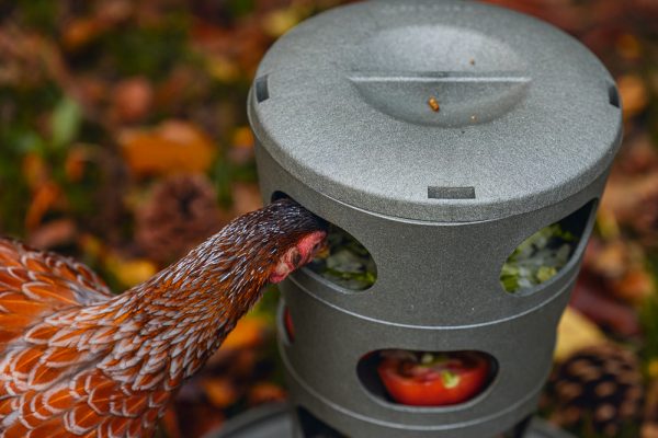 Comedero Torre Gallinas 100 % Reciclado - imagen 24