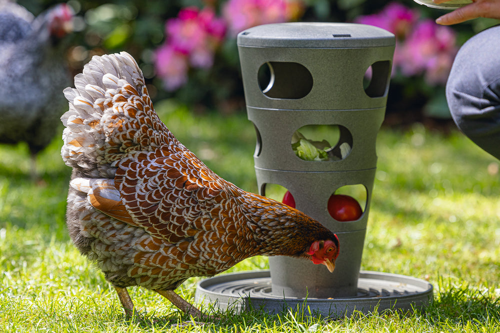 Comedero Torre Gallinas 100 % Reciclado - imagen 8