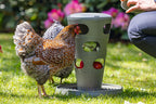 Comedero Torre Gallinas 100 % Reciclado - imagen 15