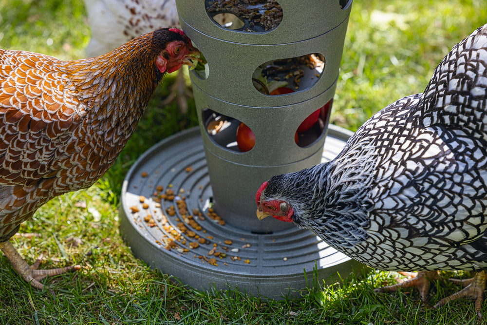 Comedero Torre Gallinas 100 % Reciclado - imagen 13
