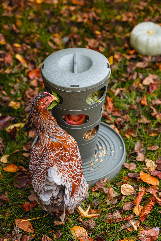 Comedero Torre Gallinas 100 % Reciclado - imagen 12