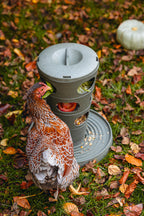 Comedero Torre Gallinas 100 % Reciclado - imagen 12