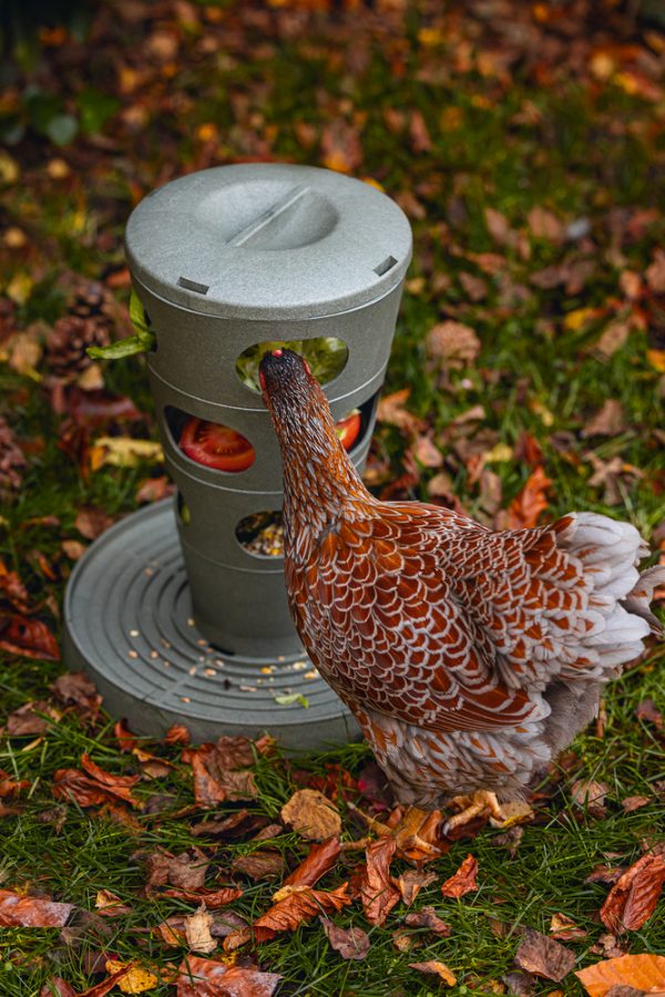 Comedero Torre Gallinas 100 % Reciclado - imagen 26