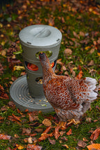 Comedero Torre Gallinas 100 % Reciclado - imagen 11
