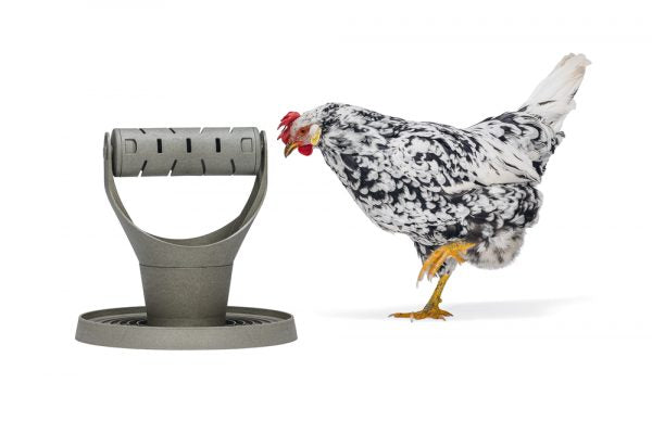 Comedero / Distribuidor Snacks Para Gallinas 100 % Reciclado - imagen 12