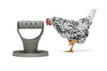 Comedero / Distribuidor Snacks Para Gallinas 100 % Reciclado - imagen 1