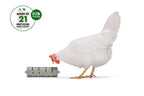 Distribuidor Snacks Para Gallinas 100 % Reciclado - imagen 5
