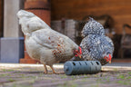 Distribuidor Snacks Para Gallinas 100 % Reciclado - imagen 13