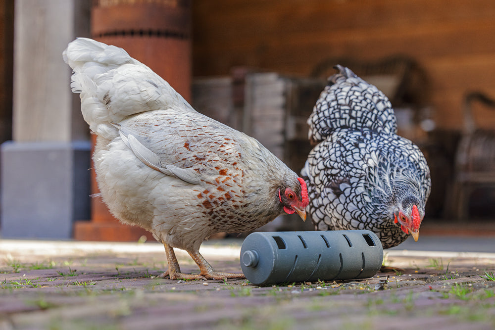 Distribuidor Snacks Para Gallinas 100 % Reciclado - imagen 13