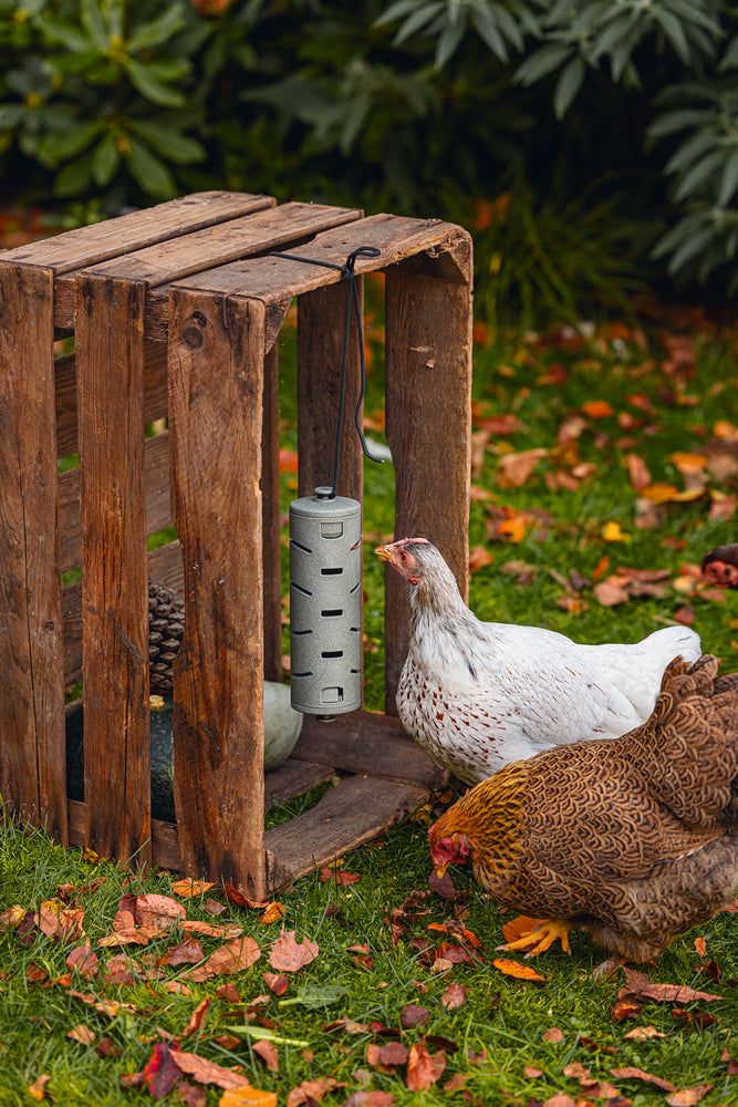 Distribuidor Snacks Para Gallinas 100 % Reciclado - imagen 8
