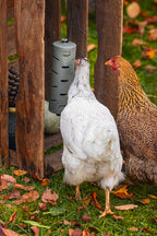 Distribuidor Snacks Para Gallinas 100 % Reciclado - imagen 7
