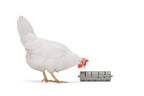 Distribuidor Snacks Para Gallinas 100 % Reciclado - imagen 15
