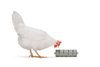 Distribuidor Snacks Para Gallinas 100 % Reciclado - imagen 1