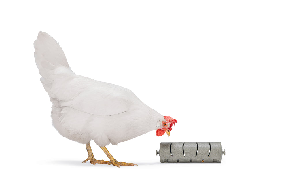Distribuidor Snacks Para Gallinas 100 % Reciclado - imagen 1