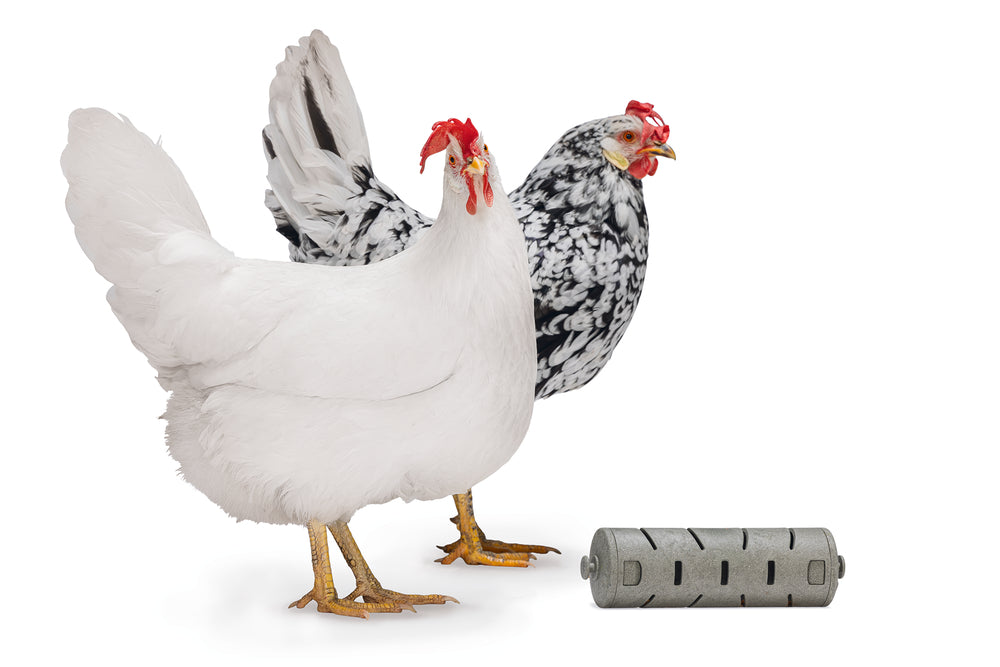 Distribuidor Snacks Para Gallinas 100 % Reciclado - imagen 6