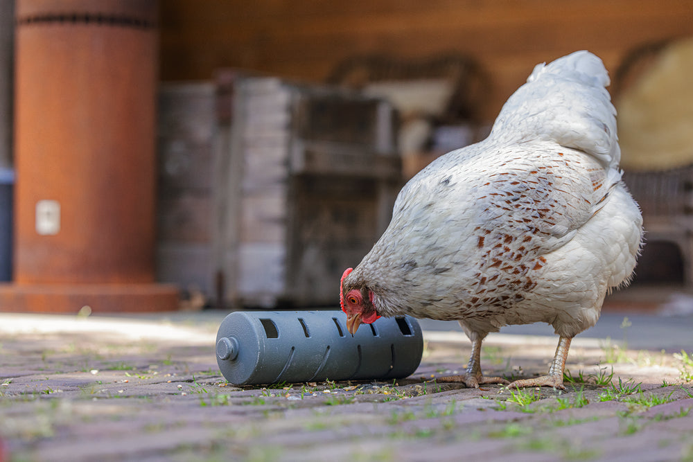 Distribuidor Snacks Para Gallinas 100 % Reciclado - imagen 12