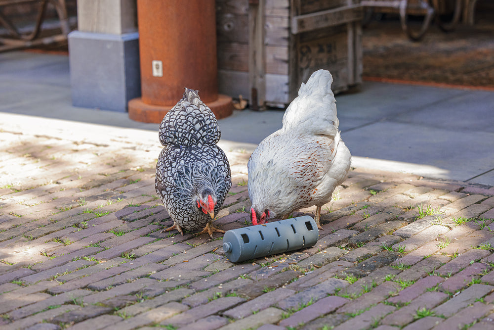 Distribuidor Snacks Para Gallinas 100 % Reciclado - imagen 11