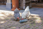 Distribuidor Snacks Para Gallinas 100 % Reciclado - imagen 11