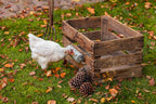 Distribuidor Snacks Para Gallinas 100 % Reciclado - imagen 23