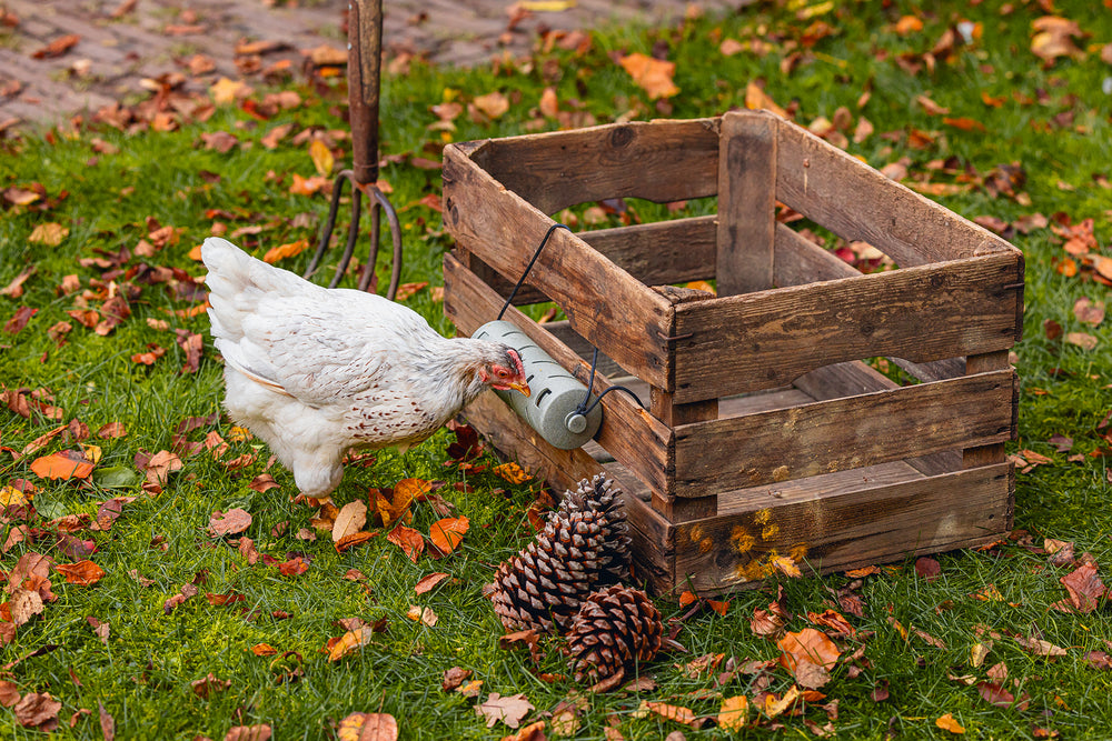 Distribuidor Snacks Para Gallinas 100 % Reciclado - imagen 9