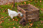 Distribuidor Snacks Para Gallinas 100 % Reciclado - imagen 9