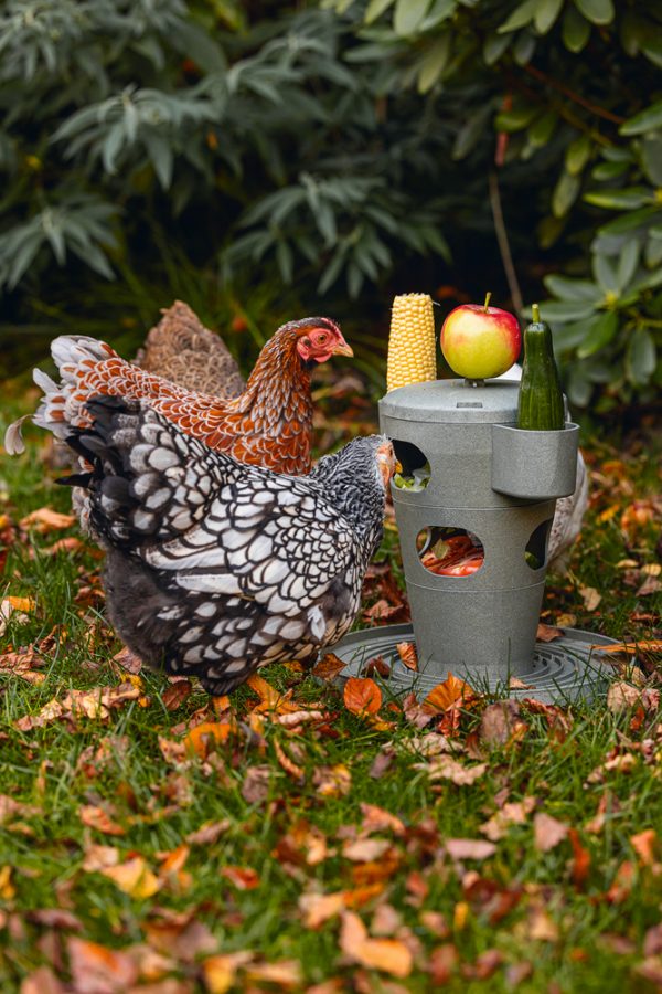 Torre Snacks / Comida Gallinas 100 % Reciclado - imagen 24